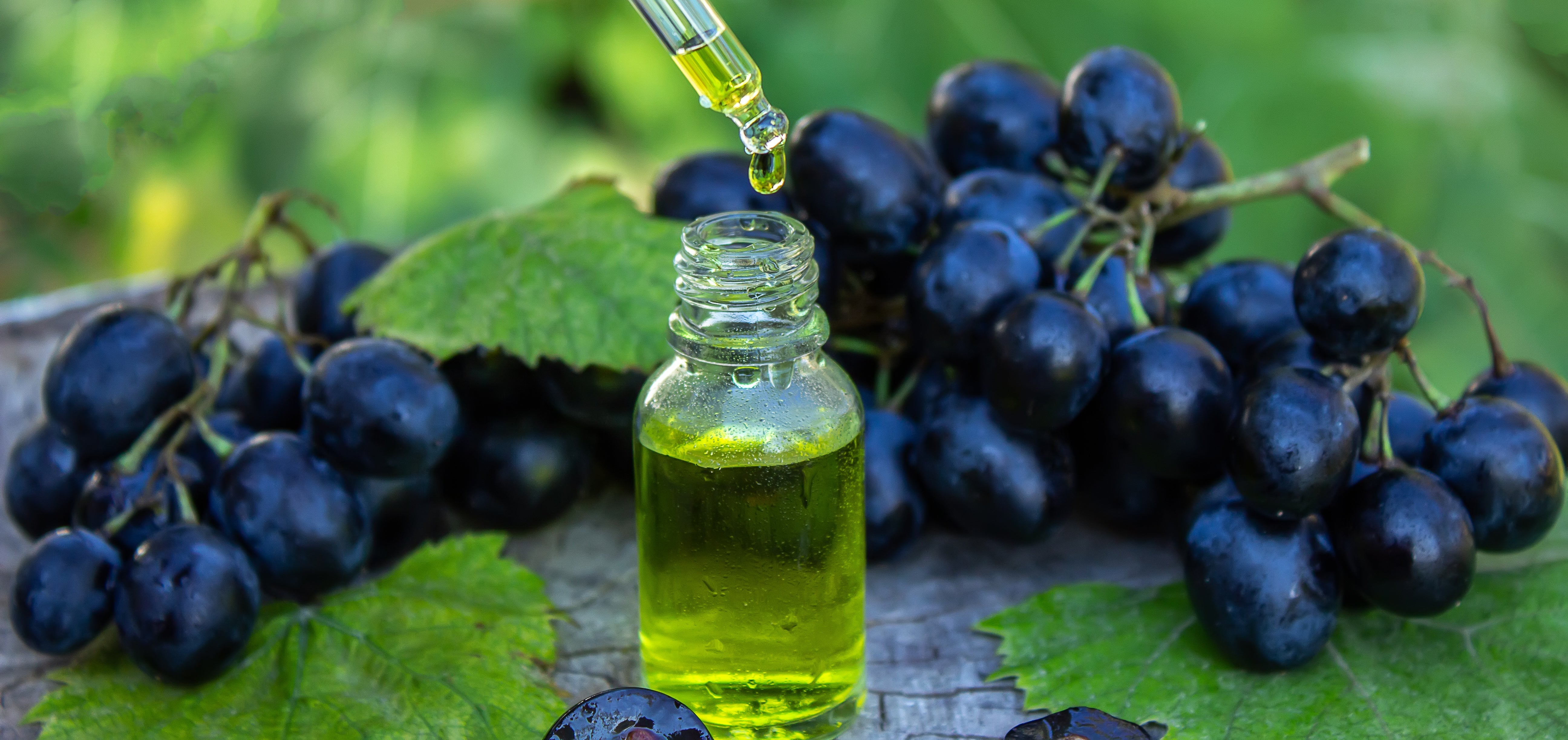 The Truth about Grapeseed Oil PUREOYL HEALTHCARE