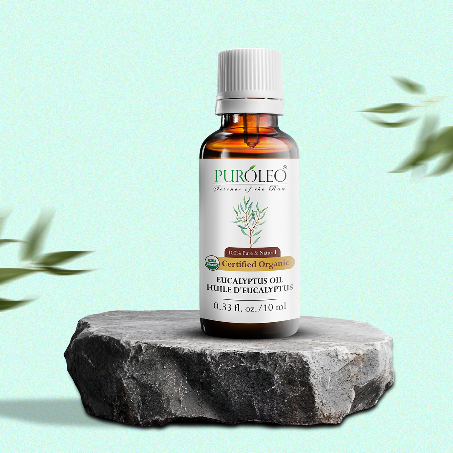 Organic Eucalyptus Essential Oil