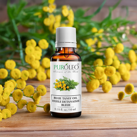 blue tansy essential oil 0.33 Fl oz