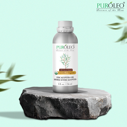 Organic Eucalyptus Essential Oil