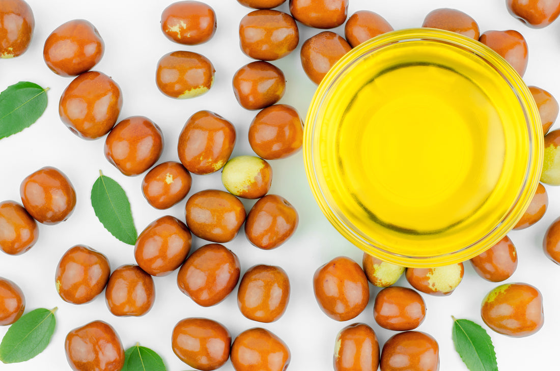 Explore the benefits of JOJOBA OIL for Your Daily Skin and Hair Care!