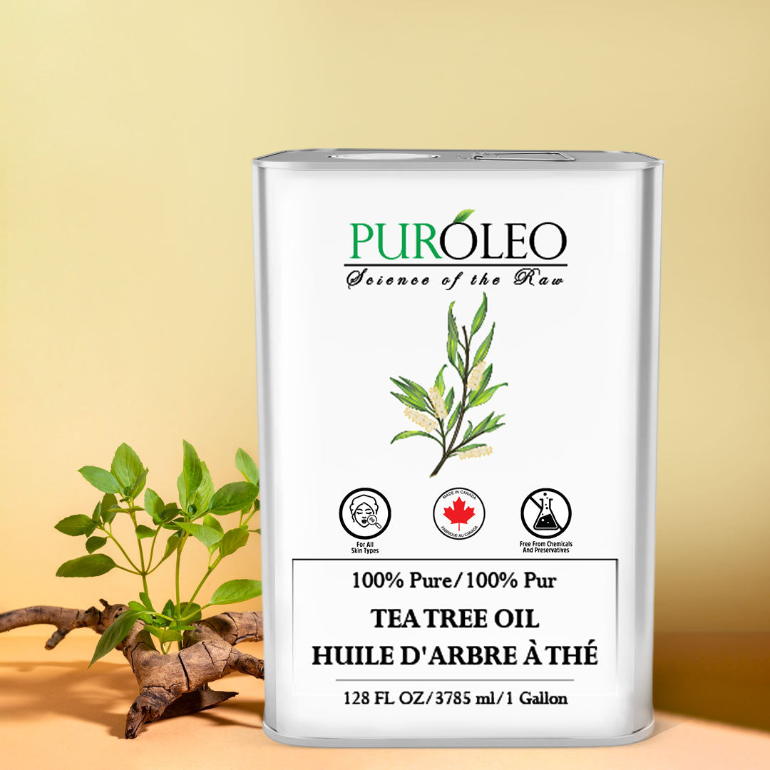 Huile essentielle d'arbre à thé – PUREOYL HEALTHCARE