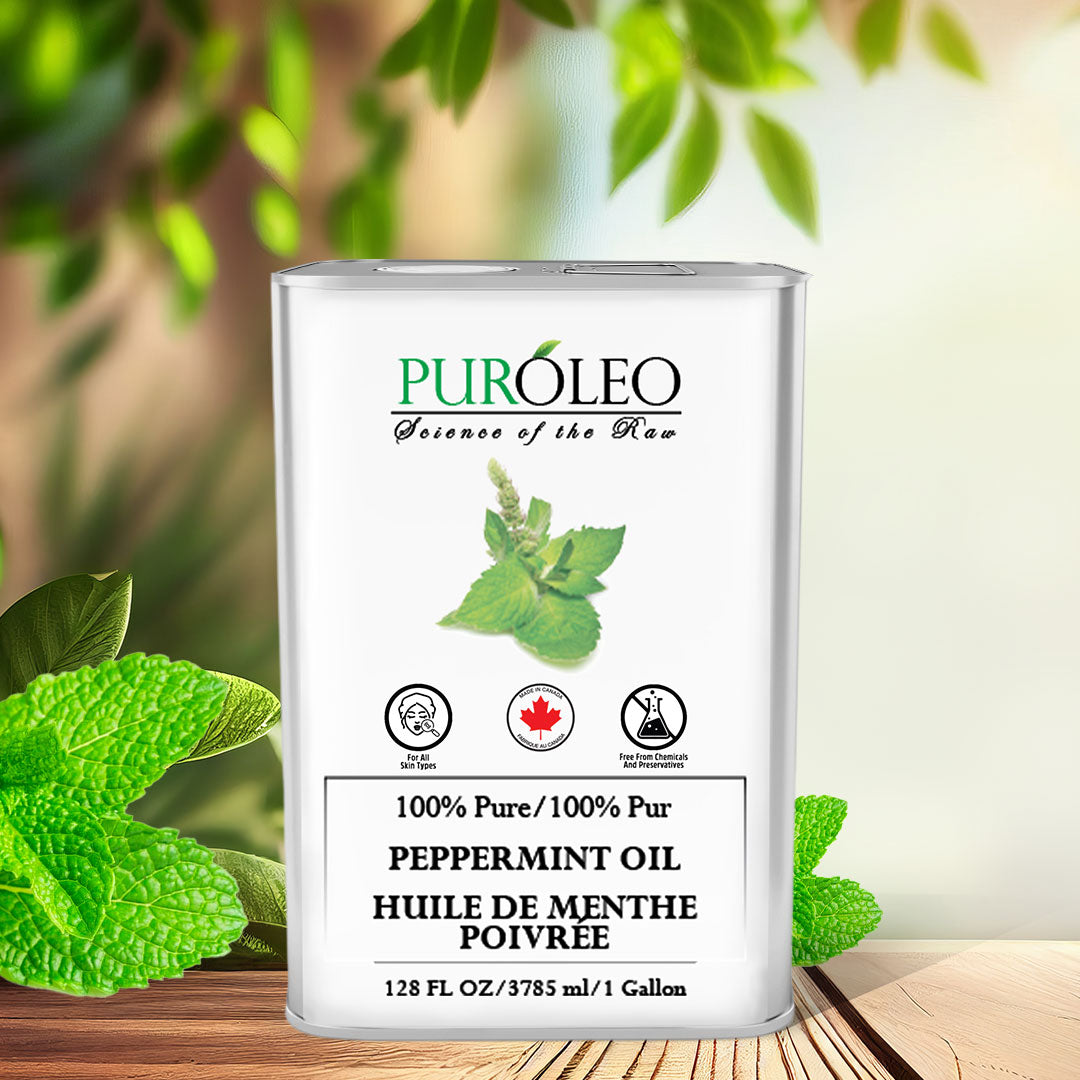Peppermint Essential Oil – PUREOYL HEALTHCARE - Main Image