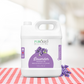 Massage Oil