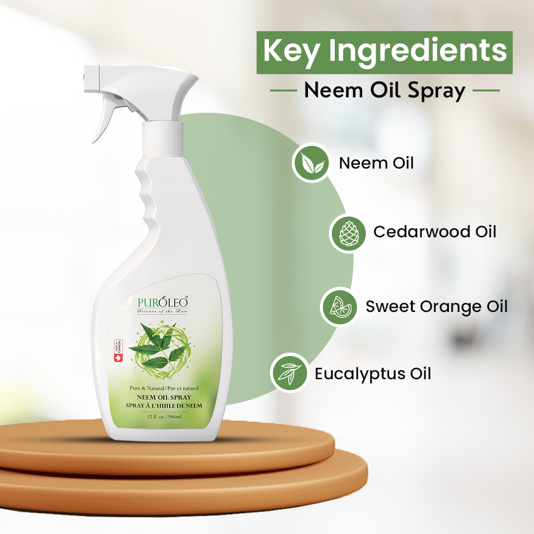 Neem Leaf Shine Spray