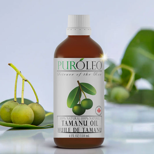 tamanu oil 4oz