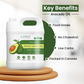 Avocado Oil - Food Grade