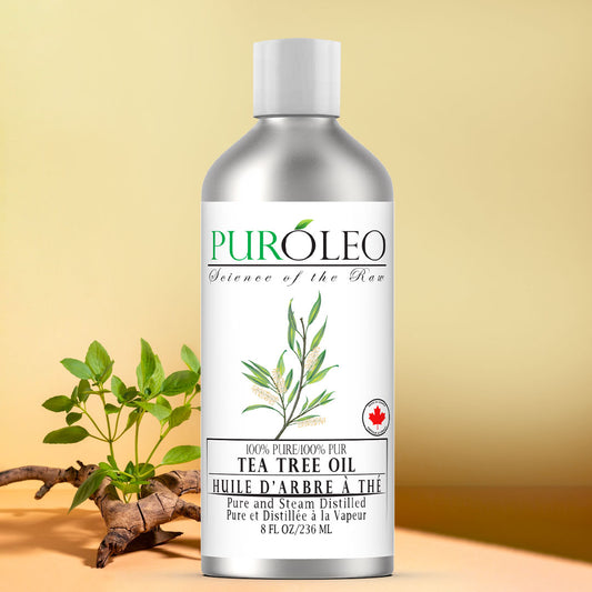 Puroleo Rosemary Essential Oil large Bottle 100% Pure Natural Undiluted,  for Aromatherapy made in Canada 
