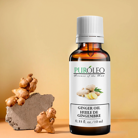 ginger essential oil 0.33 fl