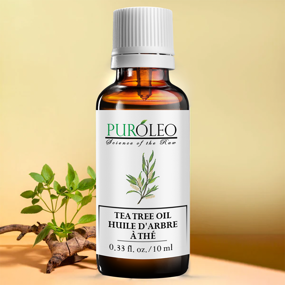 Huile essentielle d'arbre à thé – PUREOYL HEALTHCARE